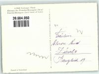 Freiberger Pferde Mit Fohlen Franches-Montagnes Pferd