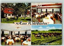 48249 W4408 Dülmen 1974 - Gasthaus Waldfrieden