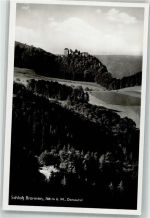 78567 W7203 Fridingen an der Donau Foto AK Schloss Bronnen