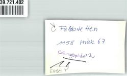 89150 W7903 Feldstetten FOTO KEINE AK Ort handschriftlich Foto Original aus Archiv eines Ansichtskartenverlags