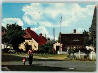 Hals 1977