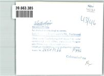33602 W4800 Bielefeld FOTO KEINE AK Waterbör Events Ort handschriftlich Foto Original aus Archiv eines Ansichtskartenverlags