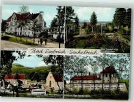 32602 W4973 Bad Seebruch - Rosengarten Kurhaus Bad Senkelteich
