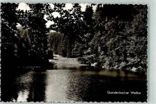 57334 W5928 Bad Laasphe - Gonderbacher Weiher