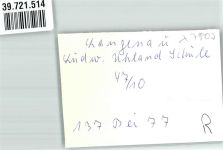 89129 W7907 Langenau , Württ FOTO KEINE AK Kirche Ludw.Uhland Schule Ort handschriftlich Foto Original aus Archiv eines Ansichtskartenverlags