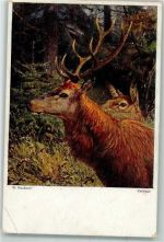 sign. Heubach W. Vertraut Hirsch 8-Ender Jagdtier Gebrauchsspuren