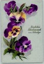 Glückwunsch Hornveilchen Namenstag 1912
