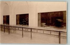 Antwerpen Anvers Aquarium Wasserbecken Zoo