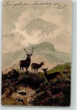 Künstler Postkarten-Serie 1264 Rehe Hirsch Jagdtier 1905 Künstlerkarte