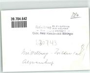 6992 Mittelberg , Kleinwalsertal FOTO KEINE AK Alpenhof Wildental Original aus Archiv eines Ansichtskartenverlags