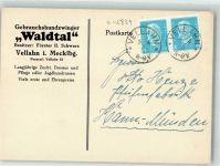 19243 O2821 Vellahn 1931 KEINE AK Handlung Gebrauchshundezwinger Waldtal Geschäftskorrespondenz