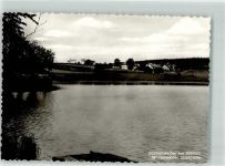56244 W5419 Steinen , Westerw Foto AK Birkenweiher Westerwälder Seenplatte