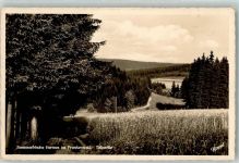 95352 W8651 Hermes Foto AK Sommerfrische Hermes in Frankenwald Talpartie