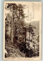 72270 W7292 Schönmünzach 1913 - Verlobungsfelsen Murgtal