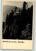6290 Mayrhofen 1960 - Gasthaus Zimmereben
