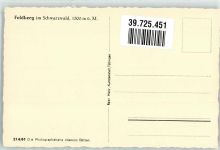 79868 W7828 Feldberg , Schwarzwald - Kühe