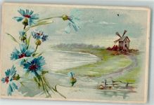 Kornblume Windmühle 1909 Lithographie