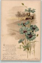 Kornblume Spruch VW Nr.5145 Blume 1905