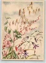 sign. Schneegans Marianne Die Ackerwinde Verlag Ackermann Reihe 1006 Nr.10044 Blume Künstlerkarte