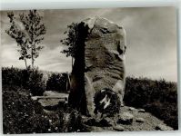 88636 W7797 Illmensee Foto AK Denkmal Gedenkstein