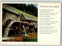 Die Mühle im Schwarzwäldertal Mühle