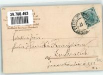 Schmetterling Veilchen Trade Kopal Mark Serie 290 Spinne 1903 Lithographie