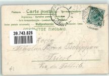 Blüten Blume 1902 Prägedruck