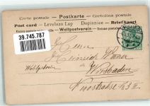 Frau T.S.N. Serie 120 Nr. 19 Jugendstil 1902