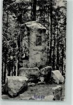 37632 W3456 Eschershausen , Ith Foto AK Denkmal Wilhelm Raabe Grünenplan