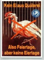 Huhn Kein Ei aus Quälerei Tierschutz