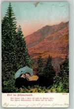 1905 - Böhmerwald