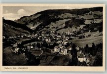 79674 W7868 Todtnau