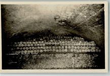 Hallstatt Beinhaus Skelett 1922