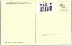 79674 W7868 Todtnauberg Foto AK Kuh