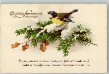 Neujahr Tannenzweigen Psalm Meise