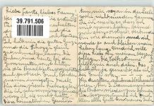 Neujahr Tannenzweigen Psalm Meise