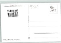 83355 W8221 Bergen , Oberbay Foto AK
