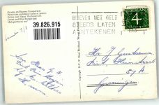 Wellensittich grün und gelb Vogel