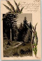 Bäume Wald WV Nr.4749 Mailick, A. 1902 Künstlerkarte