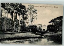 Calcutta Kalkutta 1911 - Zoologischer Garten