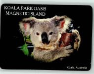 Koala Park Oasis Magnetic City Australisches Tier Foto AK