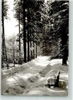 75323 W7547 Bad Wildbad im Schwarzwald Winter Verschneiter Waldweg auf dem Sommerberg
