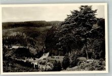 75323 W7547 Bad Wildbad im Schwarzwald Foto AK Klein-Enzhof