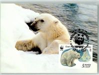 WWF Karte Eisbär 1987 Maximum AK