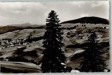 79674 W7868 Todtnauberg Foto AK