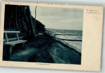 18209 O2563 Heiligendamm 1921 - Am Gespensterwald