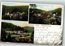 06493 O4301 Mägdesprung 1904 Lithographie