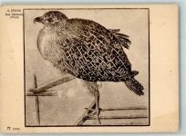Das Rebhuhn Verlag Ackermann Nr.2306a Serie 223-4 Dürer, A. Künstlerkarte