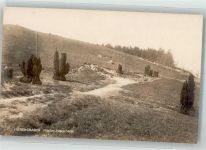 29646 W3045 Niederhaverbeck , Kr Soltau - Hünengräber