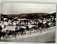 76332 W7506 Bad Herrenalb Winter mit Klosterkirche
